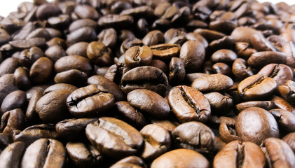 Ziarna Kawy