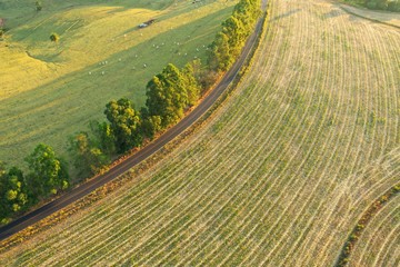 Aerial view of rural landscape in the sunny day. Countryside lifestyle. 