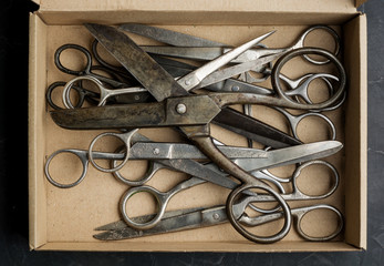 Many different type of old vintage scissors in box