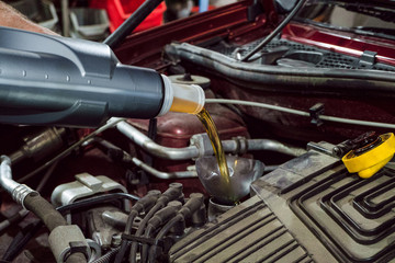 Car mechnic fills engine oil into a car engine. Close-up.