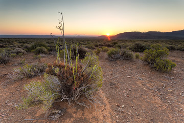 Wide angle views over the plains of the Tankwa Karoo in the Northern Cape Province of South Africa