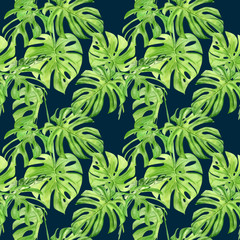 Obraz na płótnie Canvas Watercolor illustration seamless pattern of tropical leaf monstera. Perfect as background texture, wrapping paper, textile or wallpaper design. Hand drawn