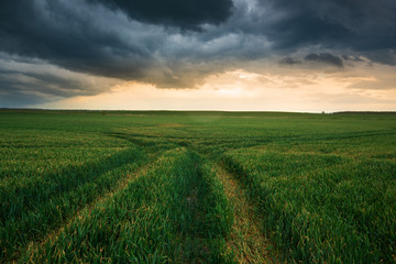 Storm clouds , dramatic dark sky over the rural field landscape - 350205655