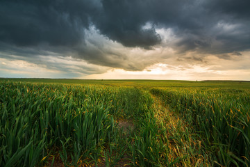 Storm clouds , dramatic dark sky over the rural field landscape - 350205837