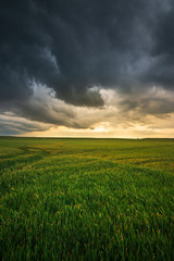 Storm clouds , dramatic dark sky over the rural field landscape - 350205891