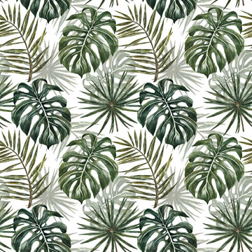 Watercolor tropical monstera and palm leaf seamless pattern. Tropical deep green color plant repeat print on white background. Jungle forest hand drawn illustration. Summer botanical wallpaper.