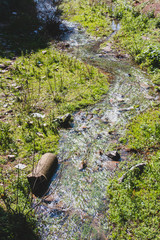 Water stream running through the greenery