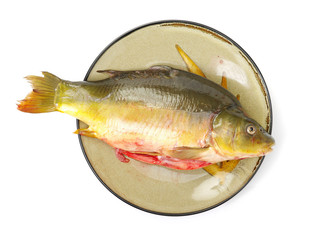 Raw fish carp on white background 