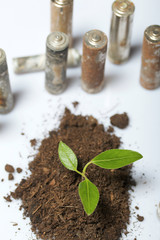 A handful of earth. On it is a sprout with green leaves and sprouted roots. Around him, spent batteries are coated with corrosion. On white background. World Environment Day.