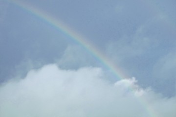 Naklejka premium 虹