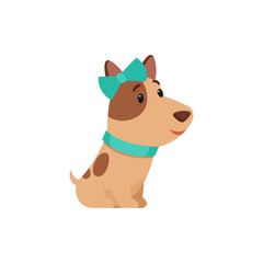 Cute spotted dog flat vector color illustration. Adorable jack russell with blue bow and collar. Sitting funny domestic animal, doggy. Cartoon purebred pet isolated on white background