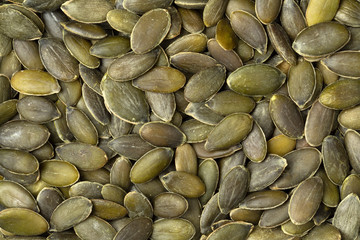 Dried pumpkin seed close up