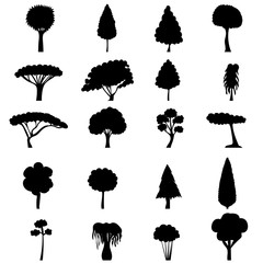 black silhouette of a tree, set