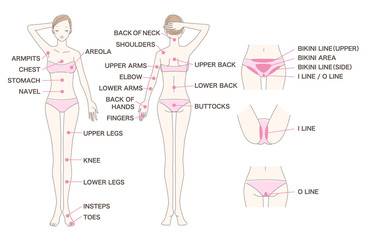 女性 脱毛 全身