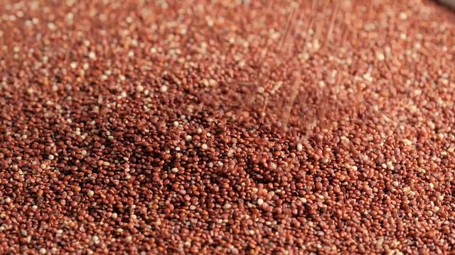 Red raw quinoa rotating and falling, South American grain. Healthy and gluten free food concept background.