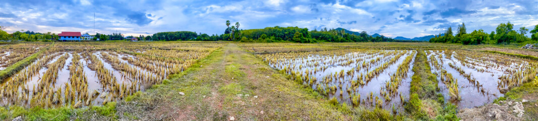 Fototapeta na wymiar Koh Yao Noi, Thailand. View of beautiful island near Phuket with fields of cultivation. Panoramic view