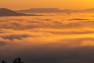 Mountains in fog at beautiful morning in autumn in Dalat city, Vietnam. Landscape with Langbiang mountain valley, low clouds, forest, colorful sky , city illumination at dusk.