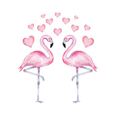 Watercolor illustration of realistic flamingo in love with hearts on a white background. Valentine's Day flamingos.