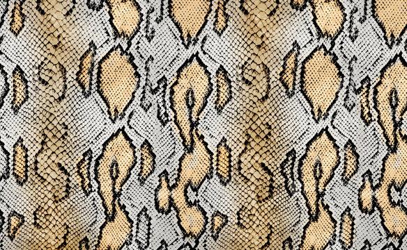 snake texture, python texture, animal print