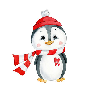 Watercolor illustration of a cute cartoon winter Christmas penguin in a hat and scarf isolated on white background.