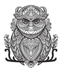 Vector coloring owl