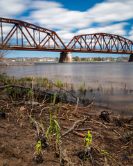 The fiddleheads (mahsus) are wee along this photogenic stretch of the Wolastoq (St John) River in Fredericton.