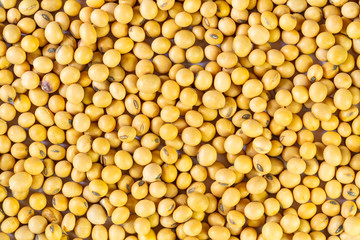 Top view of pile soy beans on the table. Soybean is a kind of legume native to east asia.