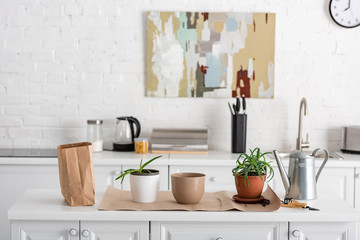 Fototapeta na wymiar Table with paper bag near flowerpots with aloe on paper, gardening tools and watering pot in kitchen