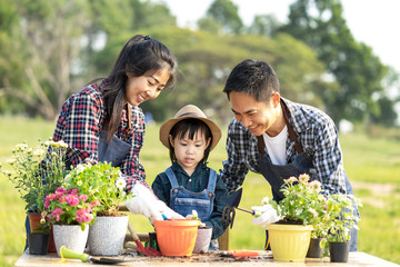 Asian family is working on floral planting in pot, parent is helping daughter to plant with happiness moment in summer morning. Flora family business is cultivated child to care the sapling.