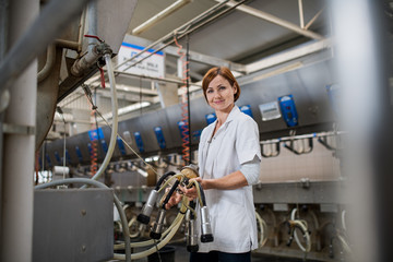 Woman manager on diary farm, milking technology in agriculture industry.