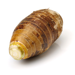 Taro on a white background