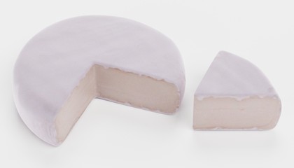 Realistic 3d Render of Camembert Cheese