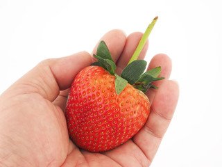 Obraz premium strwaberry in hand on white background