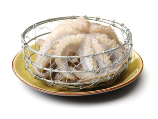 Octopus on white background