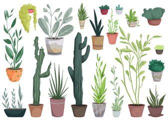 Houseplants in pots set. Collection of beautiful natural home decorations. Greenhouse or home garden with plants and cacti growing in pots. Isolated objects on white background. Vector illustration