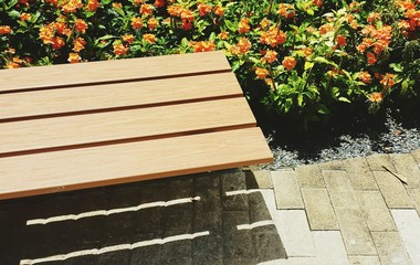 Fototapeta na wymiar High Angle View Of Wooden Seat Against Orange Flower In Garden