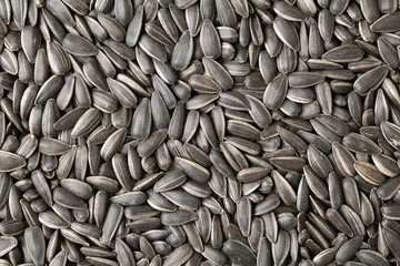 sunflower seed for background uses