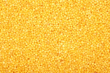 Millet yellow background
