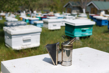 A row of bee hives in a private apiary in the garden. Honey industry.