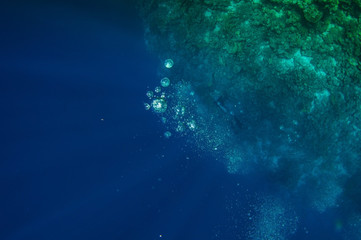 Fototapeta na wymiar Top view on scuba divers group swimming who exploring deep dark ocean blue water near a coral reef. Male and female in flippers examines the seabed. Dive. Active life. Shot through air bubbles.