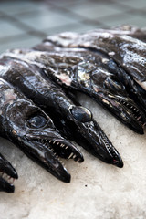 Espada fish on traditional fish market in Funchal at Madeira island, Portugal