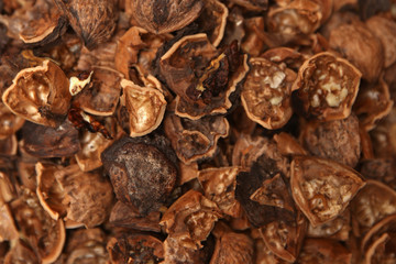 Heap of cracked wallnuts
