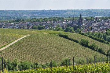 Fototapeta na wymiar The village of Kiedrich in one of Germany's most famous wine regions - the Rheingau.