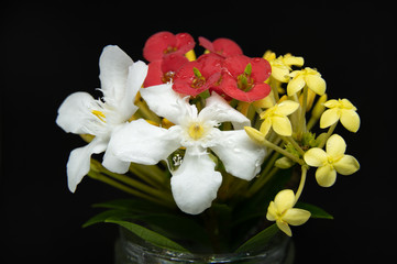 Fototapeta na wymiar Close up of Small White, Red, Yellow Flowers.