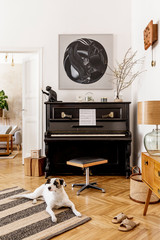 Stylish and cozy interior of living room with black piano, furniture, plant, wooden clock, lamp, mock up painitngs, decoration and elegant personal accessories and beautiful dog lying on the carpet.