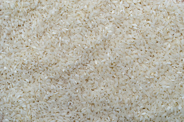 background of rice
