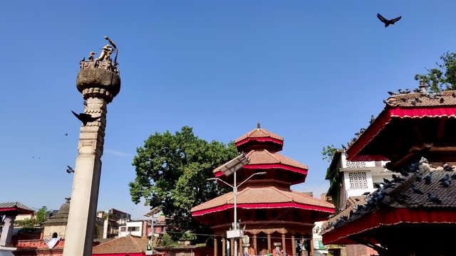 Slowmotion Pigeons at Kathmandu Durbar Square in Nepal