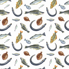 Fish seamless pattern on white background. Eel, herring, pike perch, salmon, dorado, carp, plaice, sprats.
 Stock illustration. Hand painted in watercolor.