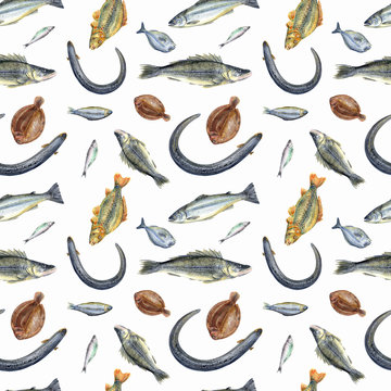 Fish seamless pattern on white background. Eel, herring, pike perch, salmon, dorado, carp, plaice, sprats.
 Stock illustration. Hand painted in watercolor.