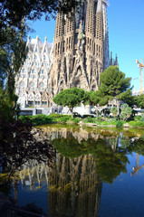 Building of Sagrada Familia of Barcelona from the park on a Sunny Day
